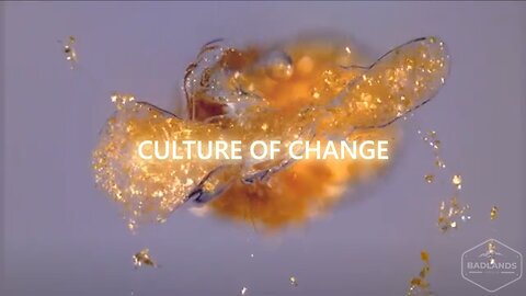 Culture of Change Ep. 107: Disarming the Mother Wound